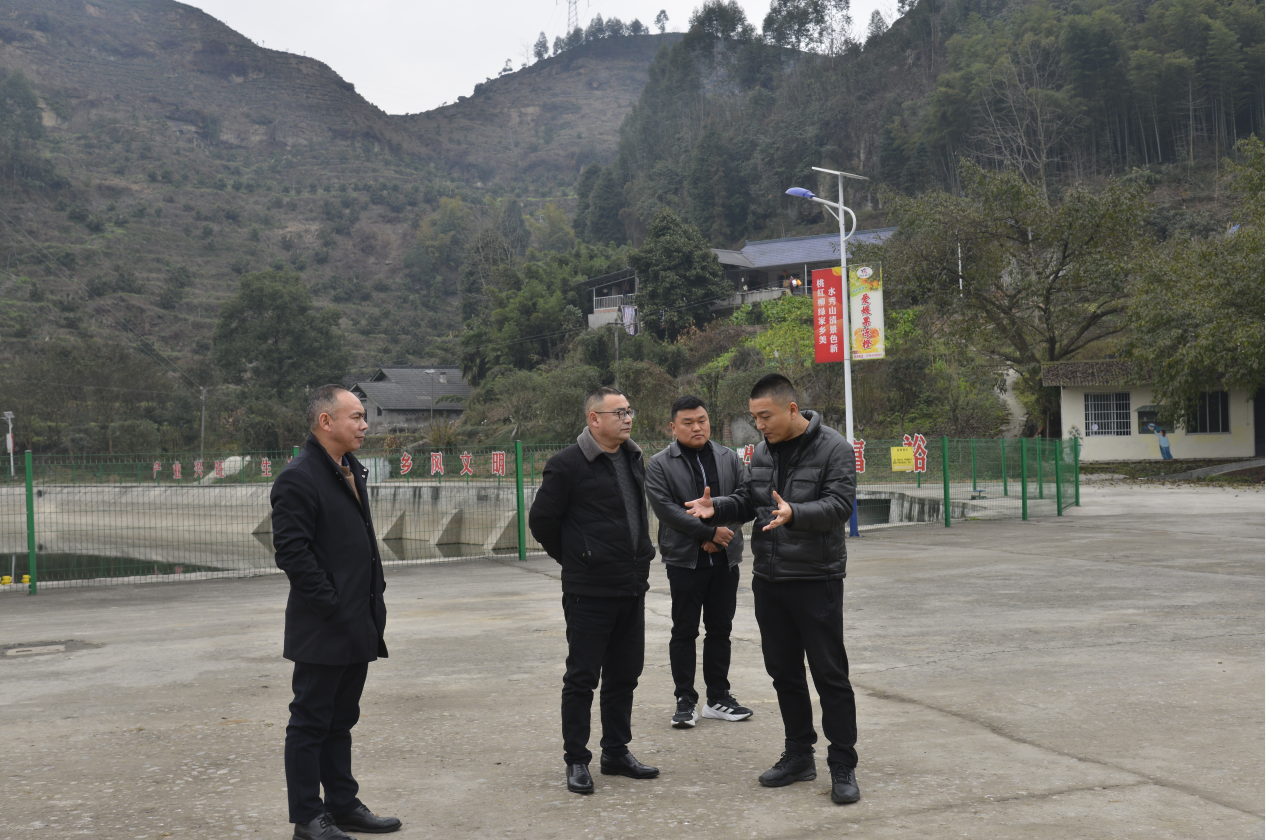 图为调研组在沙湾区踏水镇调研